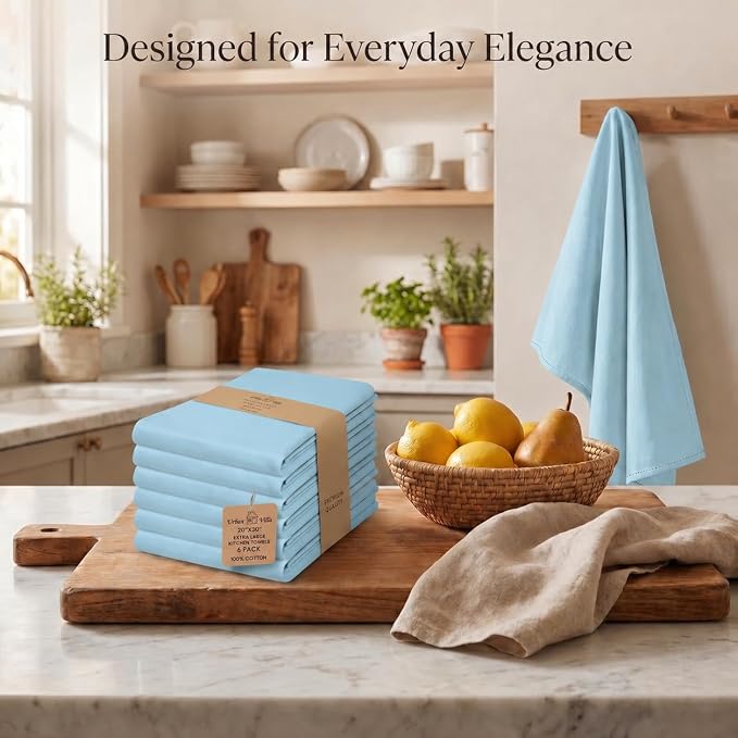 Urban Villa Kitchen Towels Cotton Dish Towels 20”x30” (Set of 6) Aqua
