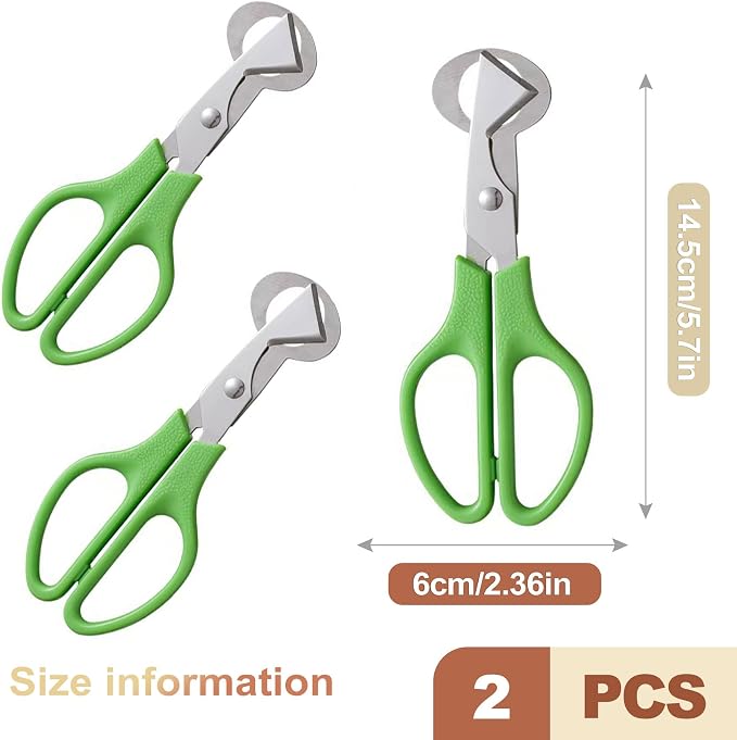 2 Pcs Quail Egg Scissors Cutter Stainless Steel Egg Shell Opener Tool for Small Bird Eggs Shape Kitchen Gadgets for Pigeon Quail Eggs Peeler Scissor Tool