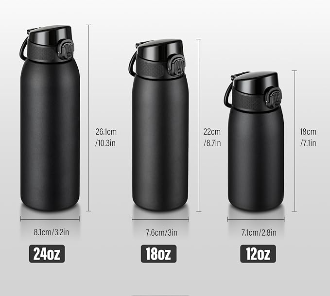 Insulated Water Bottle 18 oz with Dustproof Lid, Carry Handle & Tea Infuser, BPA-Free & Leakproof, Stainless Steel Water Bottles Ideal for Fitness, Hiking, Office & Outdoor Use （Black ）