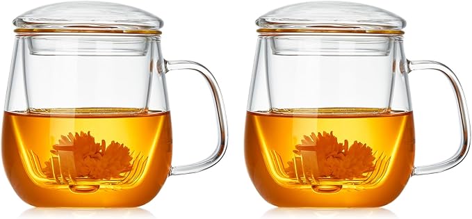 DOPUDO Glass Teacups 2 Pack Glass Tea Cup with Infuser and Lid, 17.6oz/520ml Large Borosilicate Teacup,Tea Clear Mug Cup for Loose Leaf Blooming Tea, Microwave & Dishwasher Safe.