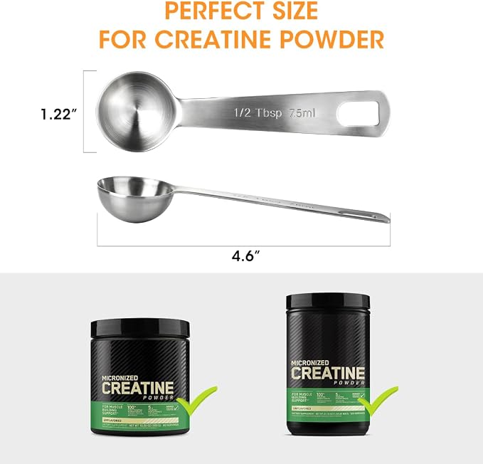 Aieve 5g Creatine Scoop,2 Pack Stainless Steel Measuring Scoops for Creatine Monohydrate Powder, Accurate 5 Gram Portion for Consistent Daily Intake