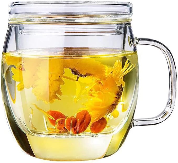 Glass Tea Cup with Infuser and Lid, 17 oz Clear Loose Leaf Tea Infuser Mug | Borosilicate Glass Tea Infuser for Black Tea, Teacup or Tea Steeper with Strainer for Brewing, Gift for Women and Tea Lovers