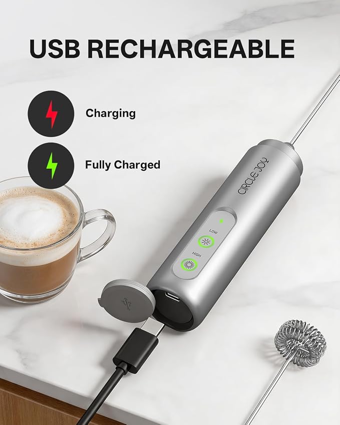 CIRCLE JOY Rechargeable 2-Speed Handheld Milk Frother with Stand, Dual Spring Whisk Electric Foamer, Portable & Detachable Coffee Frother Wand, Drink Mixer for Lattes, Macchiato, Hot Chocolate, Silver