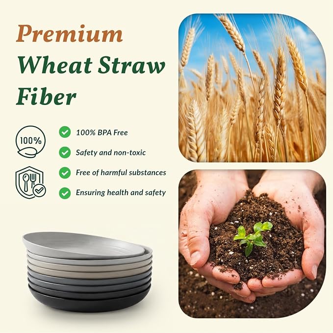 Wheat Straw Dinner Plates Set of 8-11 Inch, Alternative to Plastic, Microwave & Dishwasher Safe, Unbreakable Kids Plates with 4 Colors (Stone Grey)