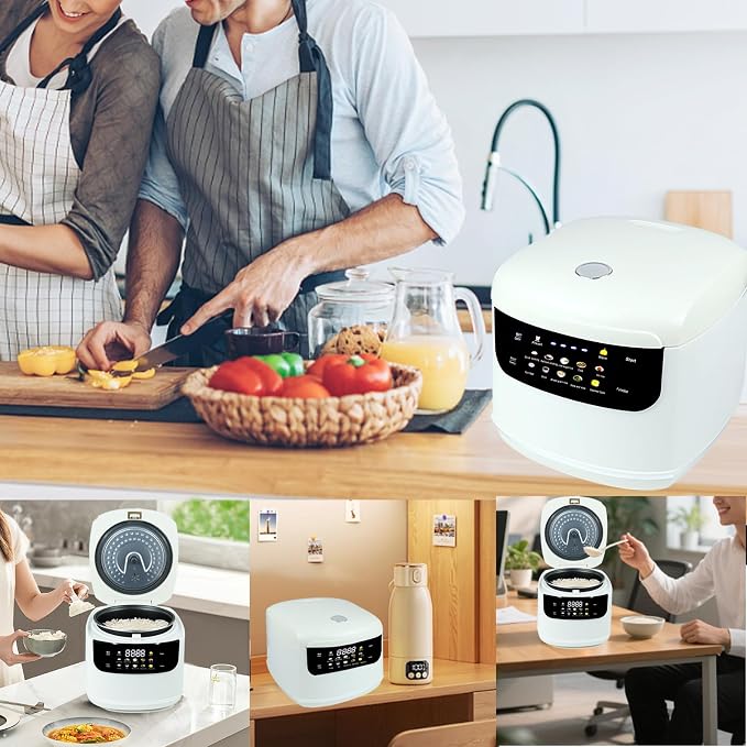 10 Functions Small 2L Rice Cooker,6 Cups Cooked/3-4 Cups Uncooked | Mini Rice Maker Non-Stick Inner Pot for1-4 People,24H Timer Delay and Keep Warm for Dorm,Office,Travel Kitchen Small Families