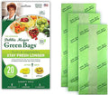 Debbie Meyer GreenBags, 20-Pack (8M, 8L, 4XL), Reusable Food Storage Bags | FoodFresh Technology, Helps Keep Fruits and Vegetables Fresh Longer, BPA-Free, Kitchen & Fridge Use, Made in the USA