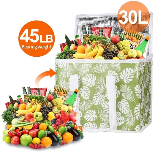 Bodaon 1-Pack Insulated Reusable Grocery Shopping Bags, X-Large Picnic Cooler Bag with Top Cold, Green-Leaf