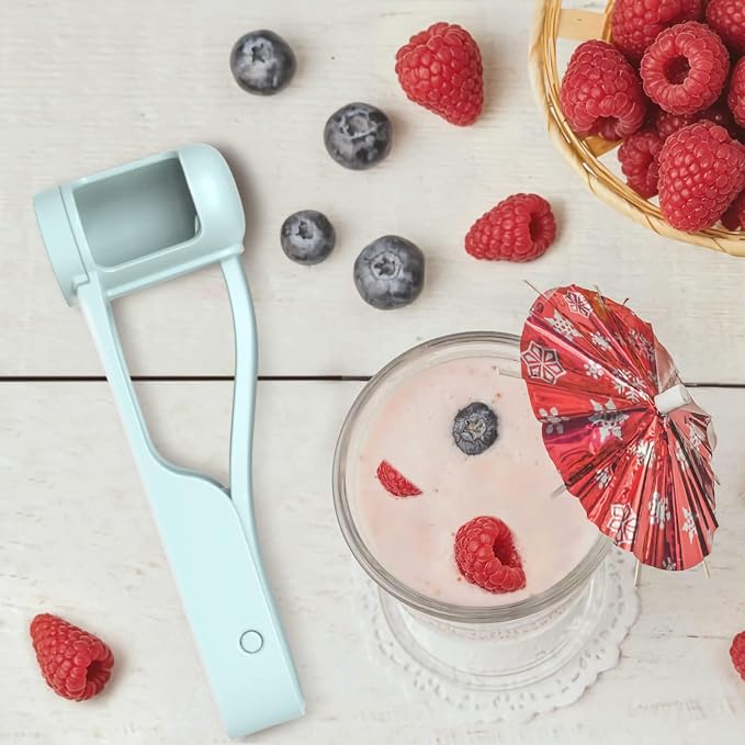 WhiteRhino Grape Cutter Grape Slicer for Toddlers,Grape Cherry Tomato Strawberry Cutter Quarter Slicer tool For Vegetable Fruit Salad Cake Decoration,Stainless Steel kitchen Gadget Fruit cutter