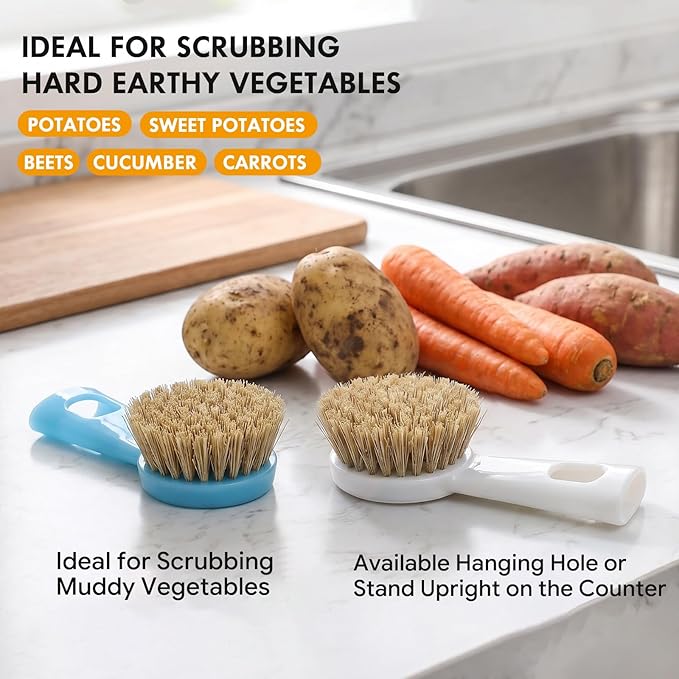 2PCS Vegetable Scrubber Brush, Standing Handle Nylon Bristles for Veggies