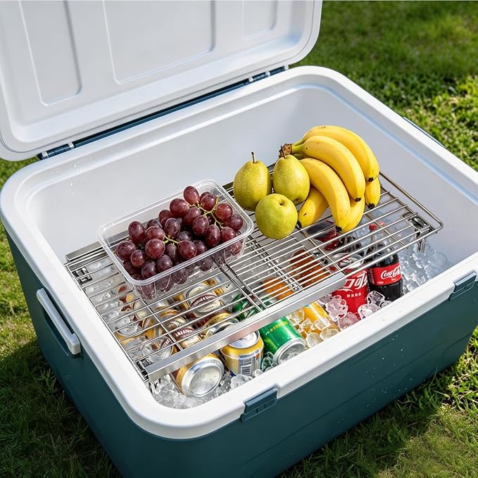 Orgneas Expandable Freezer Shelf Cooler Shelf Organizer 15.8"-22" | Thickened Heavy Duty Cabinet Shelf Riser Rack Organizer and Storage for Kitchen Pantry Refrigerator