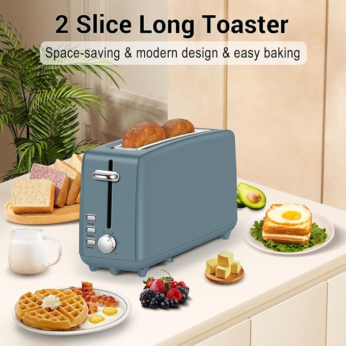 SEEDEEM Stainless Steel Toaster 2 Slice Slim, 10" Long Slot, 6 Shade, Surf
