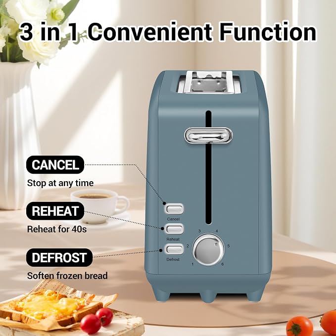 SEEDEEM Stainless Steel Toaster 2 Slice Slim, 10" Long Slot, 6 Shade, Surf