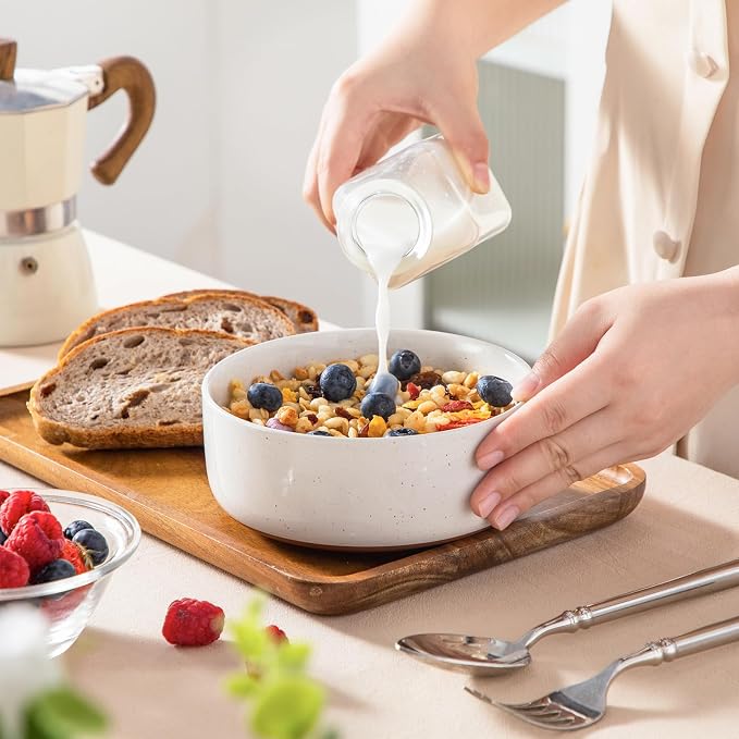 MALACASA Cereal Bowls Set of 6,24 OZ Ceramic Bowls for Kitchen,Khaki White | Porcelain Soup Bowl Breakfast Bowls for Cereal, Soup, Oatmeal, Yogurt, Dishwasher Microwave Safe for Daily Use, Series TARA