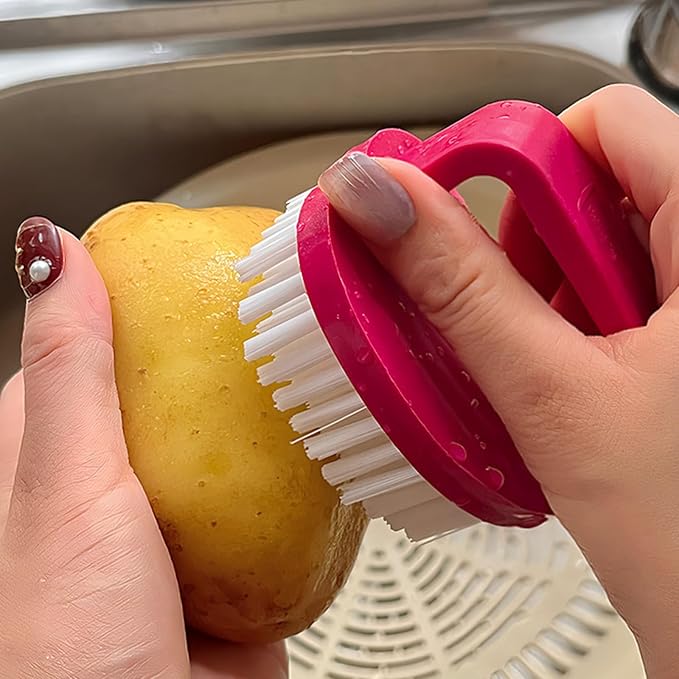 Vegetable Scrubber Brush, 3 Pack | Stiff Bristles, For Fruits/Potatoes/Carrots, Green+White+Red