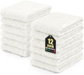 Homaxy 12 Pack Super Soft Absorbent Dish Towels, 10" x 20", White | Coral Velvet, Nonstick Oil Fast Drying Microfiber Cleaning Cloth, No Lint Dishcloths for washing and drying