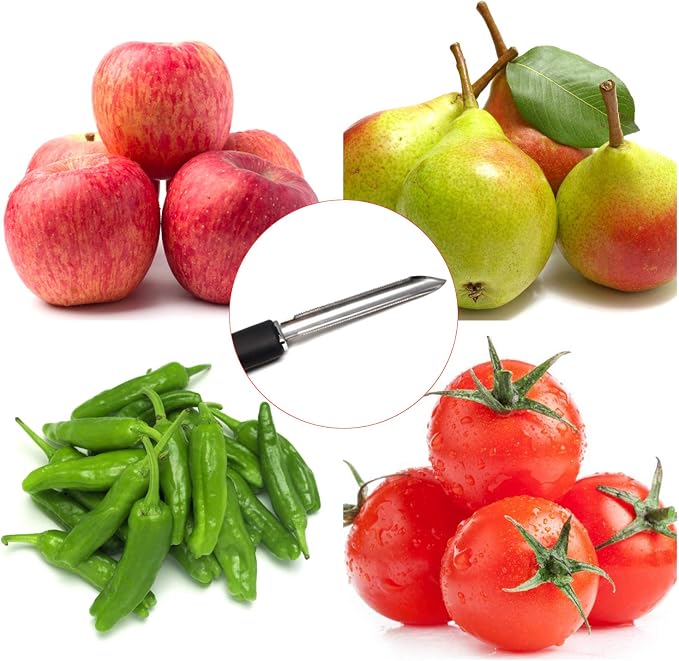 Honbay 1PCS Stainless Steel Jalapeno Chili Pepper Zucchini Cucumber Vegetable Eggplant Potato Apple Corer for Kitchen