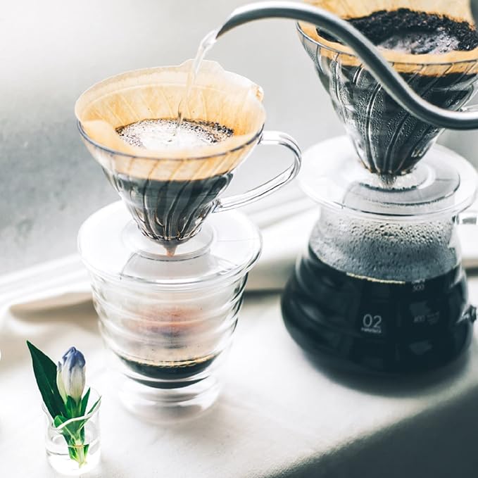Hario V60 Plastic Coffee Dripper, Size 03, Clear (Pack of 2)