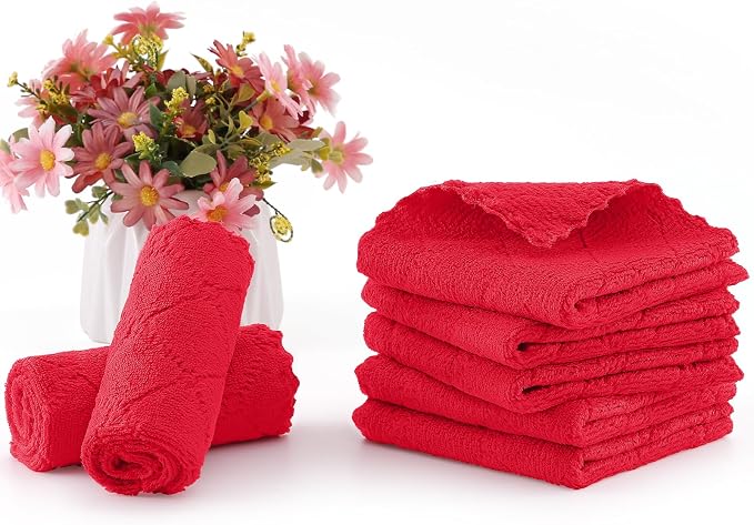 Homaxy 12 Pack Super Soft Absorbent Dish Cloths, 10" x 10", Red | Coral Velvet, Nonstick Oil Fast Drying Microfiber Cleaning Cloth, No Lint Household Dishcloths