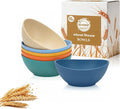 10oz Wheat Straw Bowls Set of 6, Unbreakable Small Plastic Bowls Reusable for Snack, Dessert, Ice Cream, Kitchen Prep Bowls, Microwave & Dishwasher Safe Mini Bowls for Party, Camping - Multi