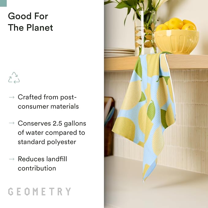 GEOMETRY Spring Kitchen Towels - Quick Dry Microfiber Cloth Spring & Summer Dish Towels for Kitchen Drying - Premium Quick Dry Towel - Paradise Play, 18" x 30" - 2-Pack
