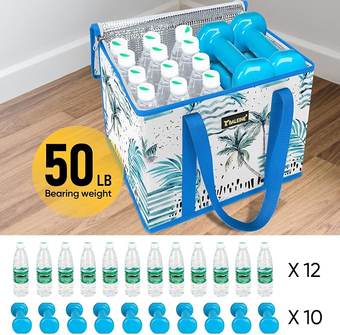 BALEINE 1PK Insulated Reusable Grocery Bag, Heavy Duty Shopping Tote | Foam & Foil Insulation, 9" Long Handles, Reinforced Bottom Keeps Upright, Fold Flat Storage, Water-Resistant Shopping Bag