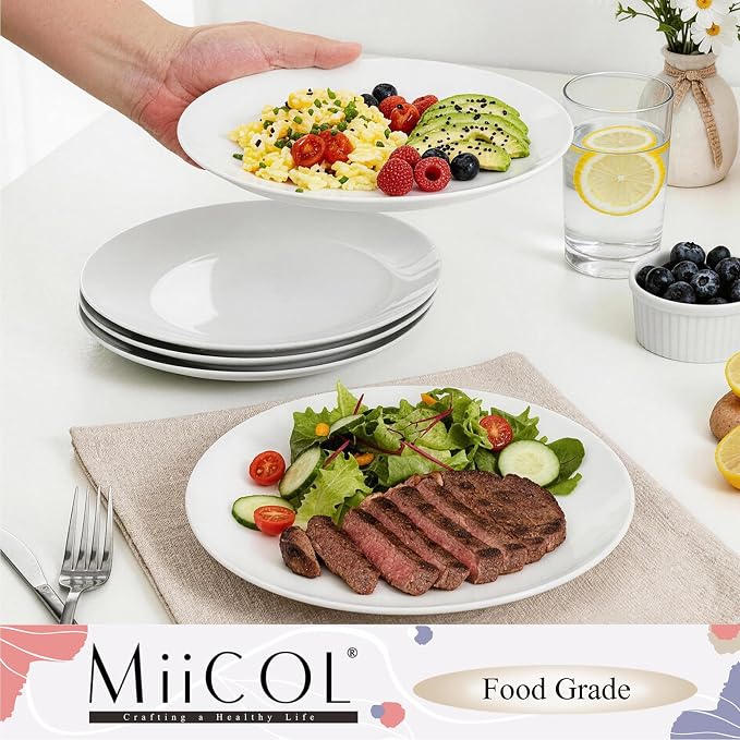Miicol Ceramic Dinner Plates Set of 6, White Dessert Plates 9 Inch, Modern Round Porcelain Dishes for Steak, Pasta, Salad, Fruit, Microwave & Dishwasher Safe, Stackable