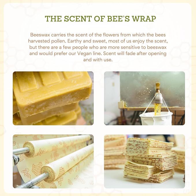 Bee's Wrap Beeswax Food Wraps, Snack Bag & Sandwich Wrap - Under the Sea | Organic Beeswax Wraps - Plastic Free - Reusable Food Storage - Sandwiches, Snacks & Lunches - Made in USA