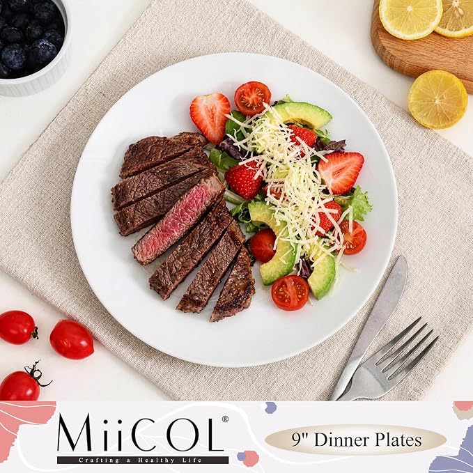 Miicol Ceramic Dinner Plates Set of 6, White Dessert Plates 9 Inch, Modern Round Porcelain Dishes for Steak, Pasta, Salad, Fruit, Microwave & Dishwasher Safe, Stackable