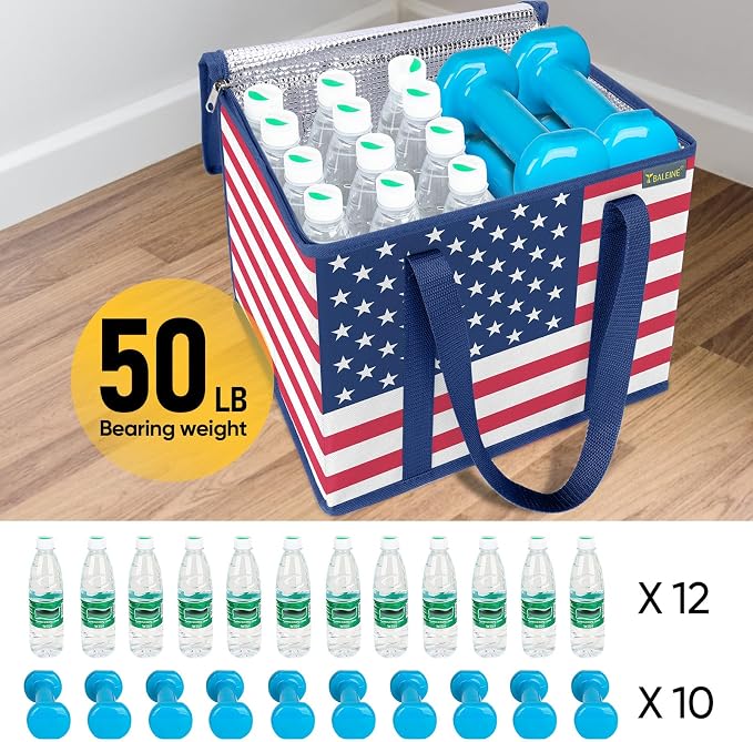 BALEINE 1PK Insulated Reusable Grocery Bag, Heavy Duty Shopping Tote | Foam & Foil Insulation, 9" Long Handles, Reinforced Bottom Keeps Upright, Fold Flat Storage, Water-Resistant Shopping Bag