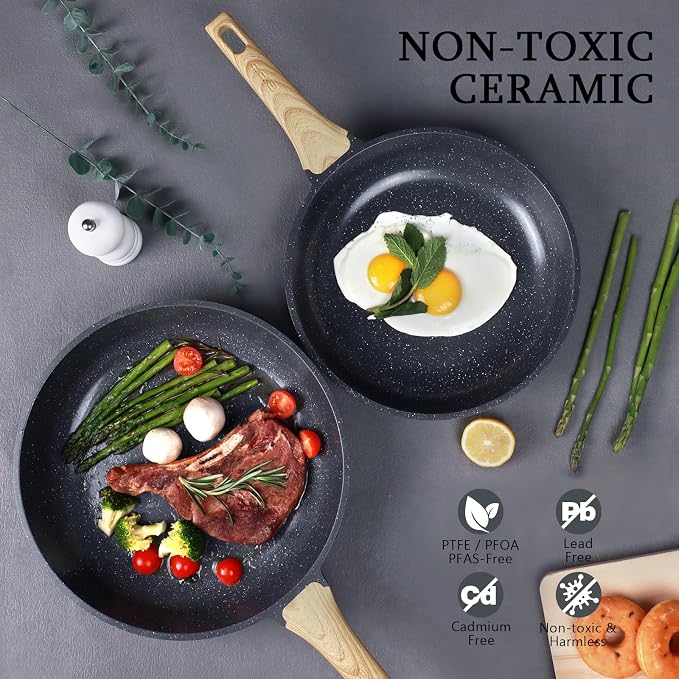 GiPP Ceramic Nonstick Frying Pan - 10 Inch Healthy Non-Toxic Non Stick Skillet Omelette Pans, Induction Compatible Chef Pan, PFAS & PFOA-Free, Dishwasher Safe, Stay Cool Handles Visit the Store