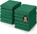 Homaxy 12 Pack Super Soft Absorbent Dish Towels, 10" x 20", Dark Green | Coral Velvet, Nonstick Oil Fast Drying Microfiber Cleaning Cloth, No Lint Dishcloths for washing and drying
