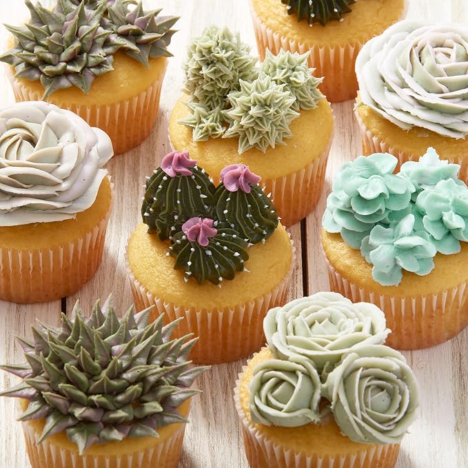 Wilton Piping Tip Set, Cupcake Decorating, 9-Piece with Carrying Case | 9-Piece Stainless Steel Tip Set with Carrying Case for Piping Rosettes, Stars & Swirls on Cupcakes & Layer Cakes